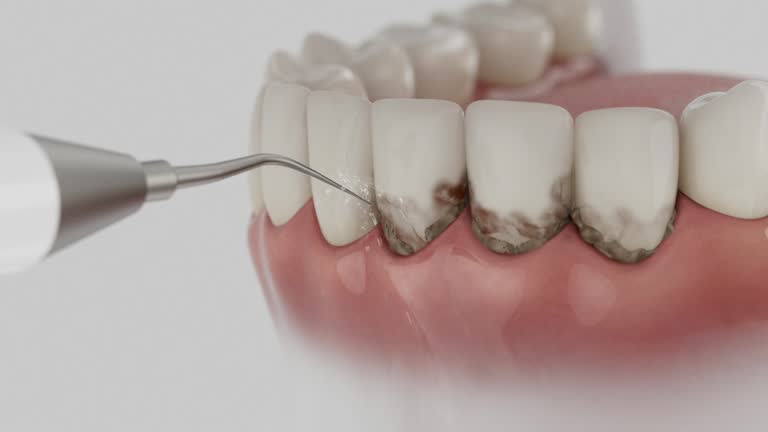 Reliable Dental contractor in Bystrom, CA by Dentist Open Now